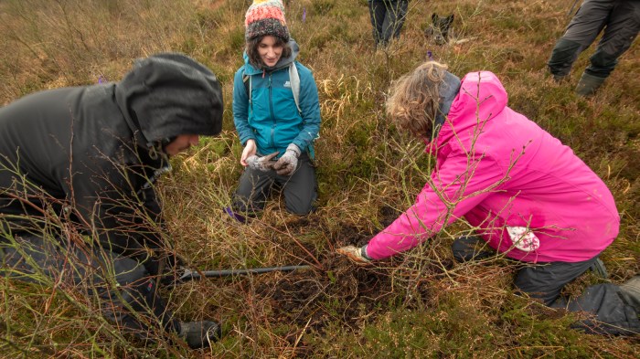 Three people are kneeling down, outside, and digging up a tree.