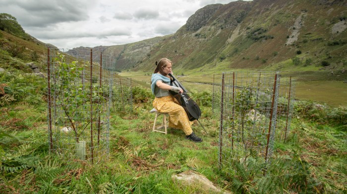 A woman playing a cello in a hilly landscape. Around her there are trees growing inside protective cases.